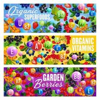 Vitamin superfoods and natural organic berries vector