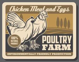 Hen and rooster. Poultry farm chicken meat, eggs vector