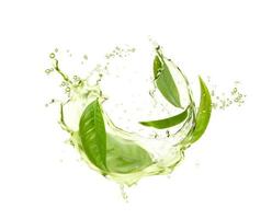 Green herbal tea wave splash with leaves flow vector