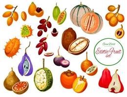 Exotic tropical fruits and berries icons vector