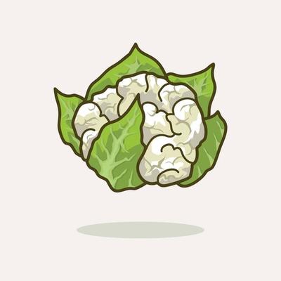 Fresh vegetable fruit cauliflower cartoon illustration