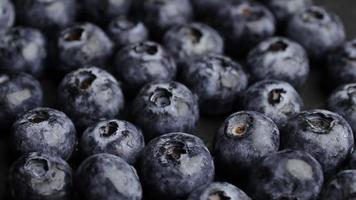 Ripe blueberry fruit video
