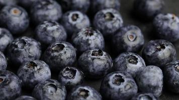 Ripe blueberry fruits video