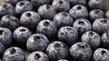 Blueberries fruits, bilberry fruit video