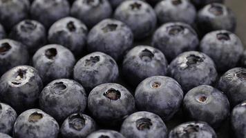 Closeup of blueberries video