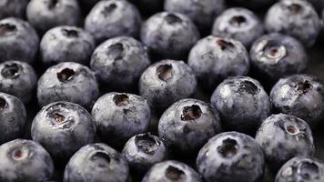 Blueberries fruits, blackberry ripe, bilberry fruit video