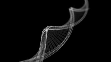 dna genoma rotante senza soluzione di continuità animazione. bio genetico medico scienza. gene elica modello 4k movimento sfondo. molecolare biologia futuro concetto. video