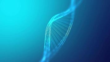 genoma de dna girando animação perfeita. ciência médica biogenética. gene hélice modelo 4k fundo do movimento. conceito futuro de biologia molecular. video