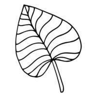 hojas de palma tropical en estilo boceto, ilustración vectorial aislada. hoja de palmera en estilo de garabato lineal. impresión botánica minimalista de hojas exóticas, diseño de bocetos. vector