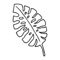 The monstera leave in black and white colors. Hand drawn design element. Vector isolated. Line drawing.