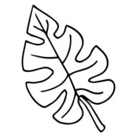 The monstera leave in black and white colors. Hand drawn design element. Vector isolated. Line drawing.