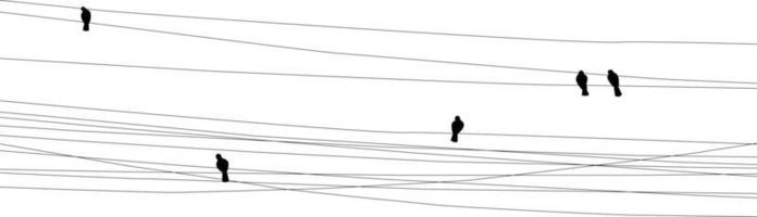 birds on wires transparent background vector