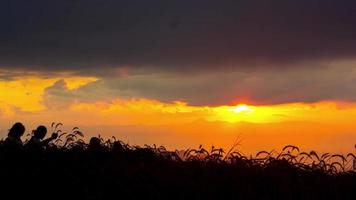 nascer do sol na paisagem de colinas e prados. as pessoas sobem as montanhas para ver a paisagem, o sol, o amanhecer e o horizonte acima do solo. linda no outono lapso de tempo de destino turístico. video