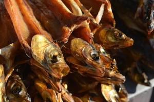 Smoked Omul Fish for Sale photo