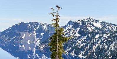 parque nacional del lago del cráter, oregon foto