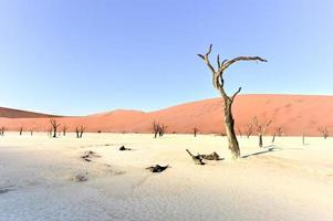 dead vlei, namibia foto