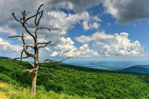 View of the Shenandoah Valley and Blue Ridge Mountains from Shenandoah National Park, Virginia photo