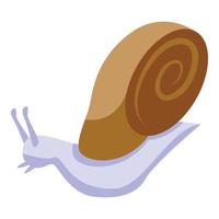 Snail icon isometric vector. Slow slug vector