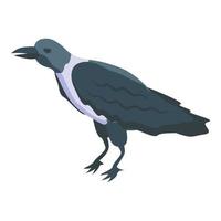 icono de cuervo de fauna vector isométrico. pájaro cuervo