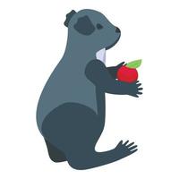 Koala eat apple icon isometric vector. Cute bear vector