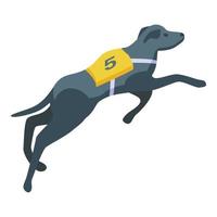 vector isométrico de icono de galgo rápido. mascota