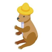 Zoo koala icon isometric vector. Cute bear vector