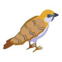 Front sparrow icon isometric vector. Bird house vector