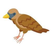 Cute sparrow icon isometric vector. Tree bird vector