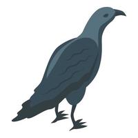 Crow icon isometric vector. Raven bird vector