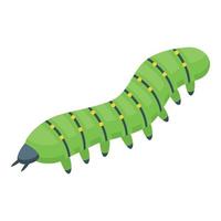 Caterpillar icon isometric vector. Worm larva vector