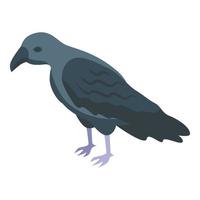 icono de cuervo vector isométrico. pájaro cuervo