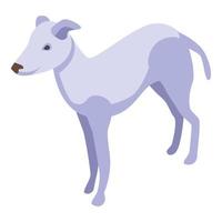 White greyhound icon isometric vector. Animal pet vector