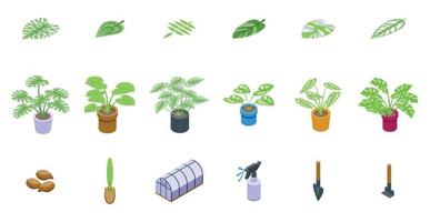 Monstera icons set isometric vector. Palm leaf vector