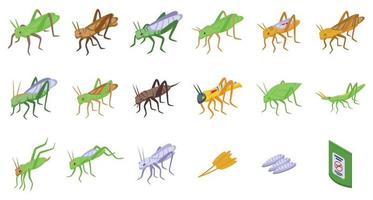 conjunto de iconos de saltamontes vector isométrico. insecto verde