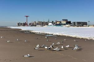 Coney Island Beach in Brooklyn, New York after a major snowstorm. photo