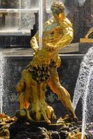 Samson fountain in the Peterhoff Palace in St. Petersburg, Russia photo