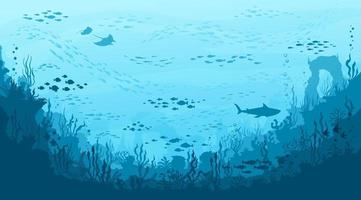 Underwater landscape, manta and shark, seaweeds vector