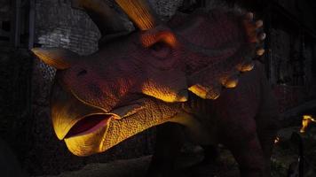 close up of giant herbivorous triceratops dinosaur from Late Cretaceous video