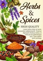 Spices, culinary herbs, condiments and seasonings vector