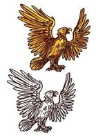 halcón o águila, pájaro dorado heráldico, vector