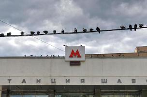 Moscow, Russia - July 6, 2019 -  Shabolovskaya station on the Kaluzhsko-Rizhskaya Line of the Moscow Metro, Russia. photo