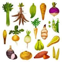 Exotic root vegetables and veggies, vector