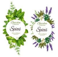 Organic herbs and spices, green seasonings vector