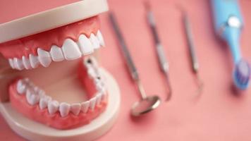 läkare hand innehav en plast dental tänder modell video