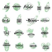 Farm vegetables vector sketch lettering