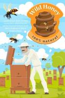 Beekeeping and beekeeper at honey apiary vector