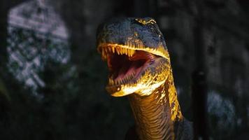 stänga upp av jätte tyrannosaurus dinosaurus med skarp tänder video