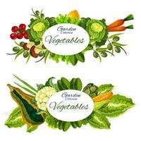Vegetables, mushrooms and salad leaves. Farm food vector