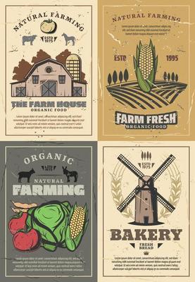 Farming farm barn, field, vegetables and animals