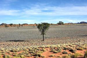 paisaje desértico - namibrand, namibia foto